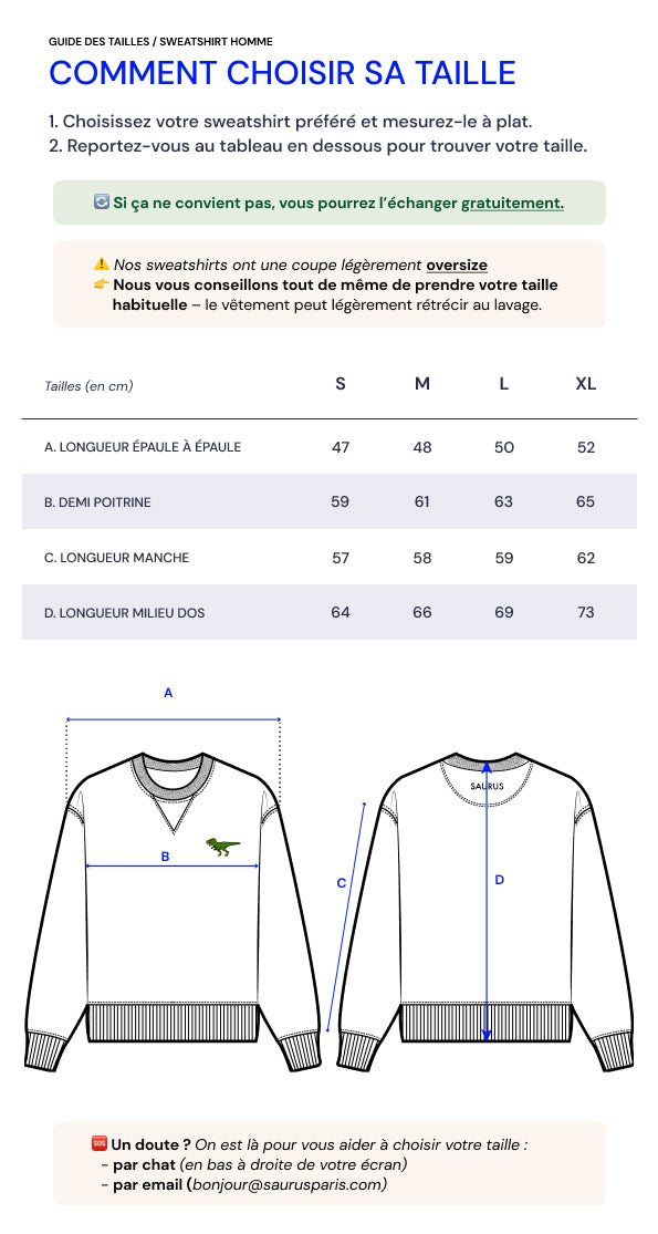 Sweatshirt T-Rex Gris - Homme