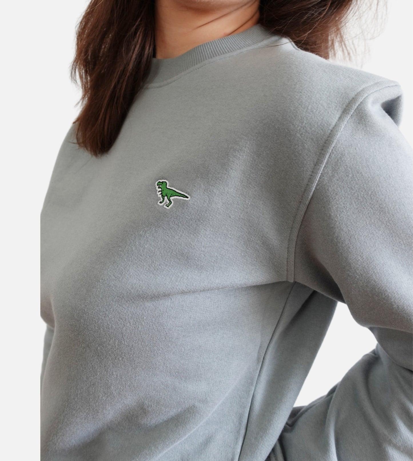 Sweatshirt T-Rex Gris - Femme