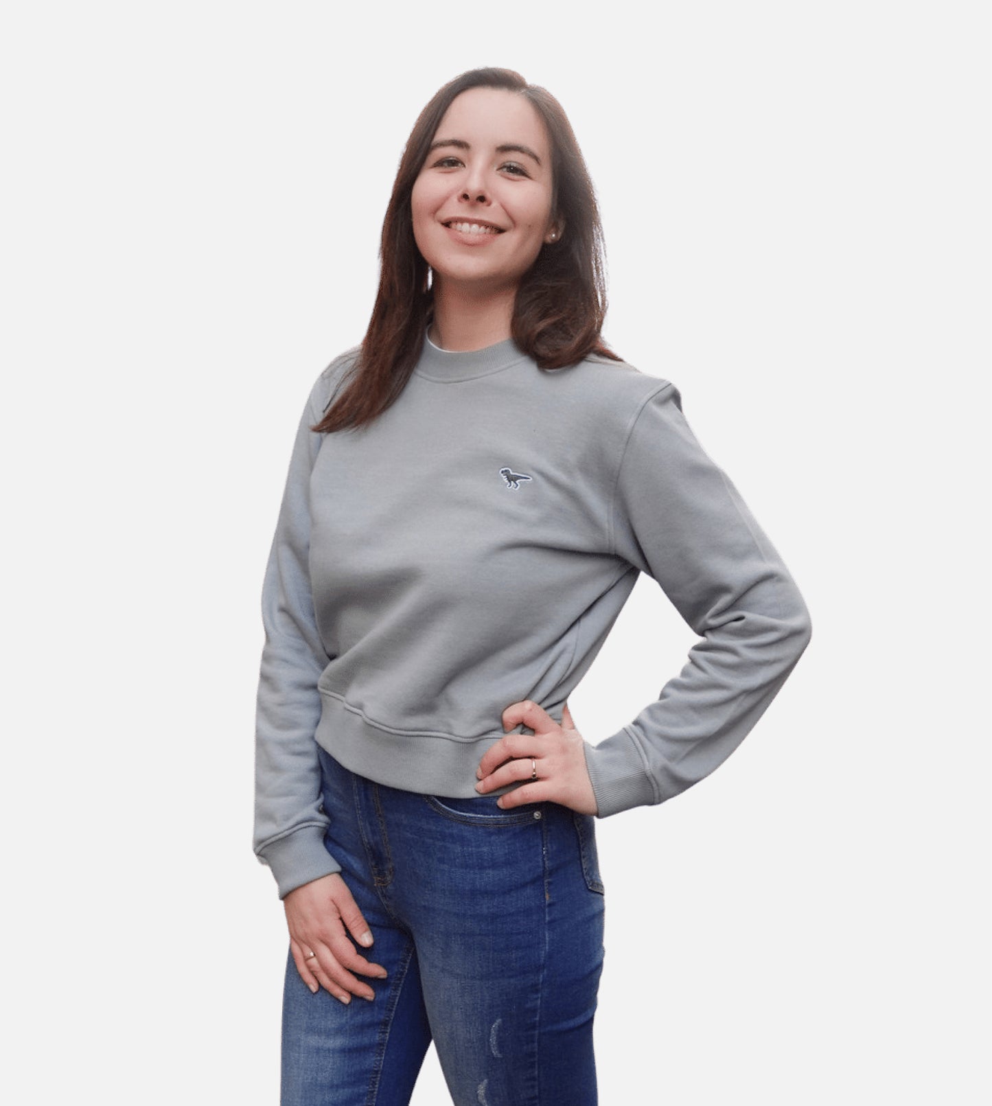 Sweatshirt T-Rex Gris - Femme