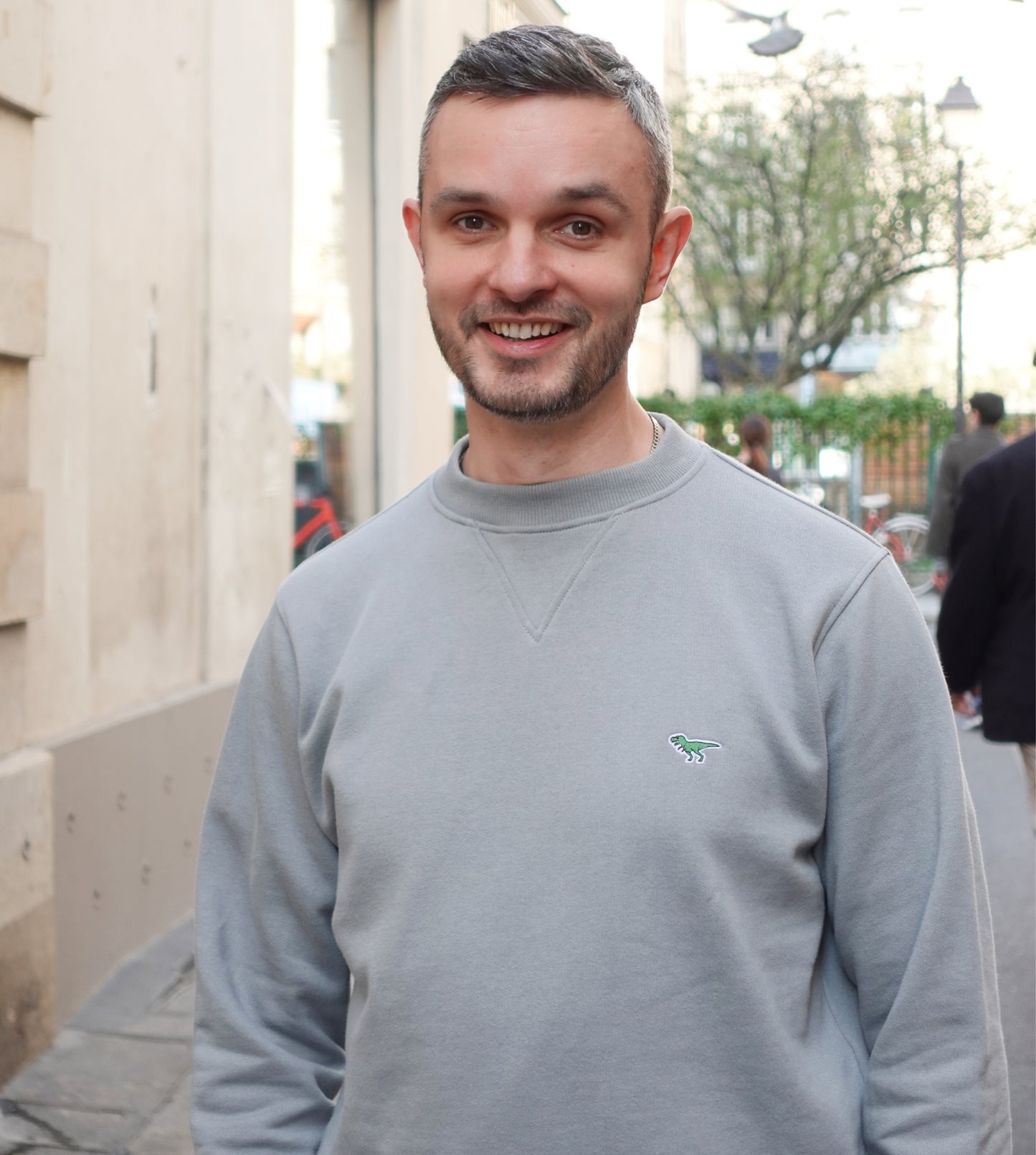 Sweatshirt T-Rex Gris - Homme