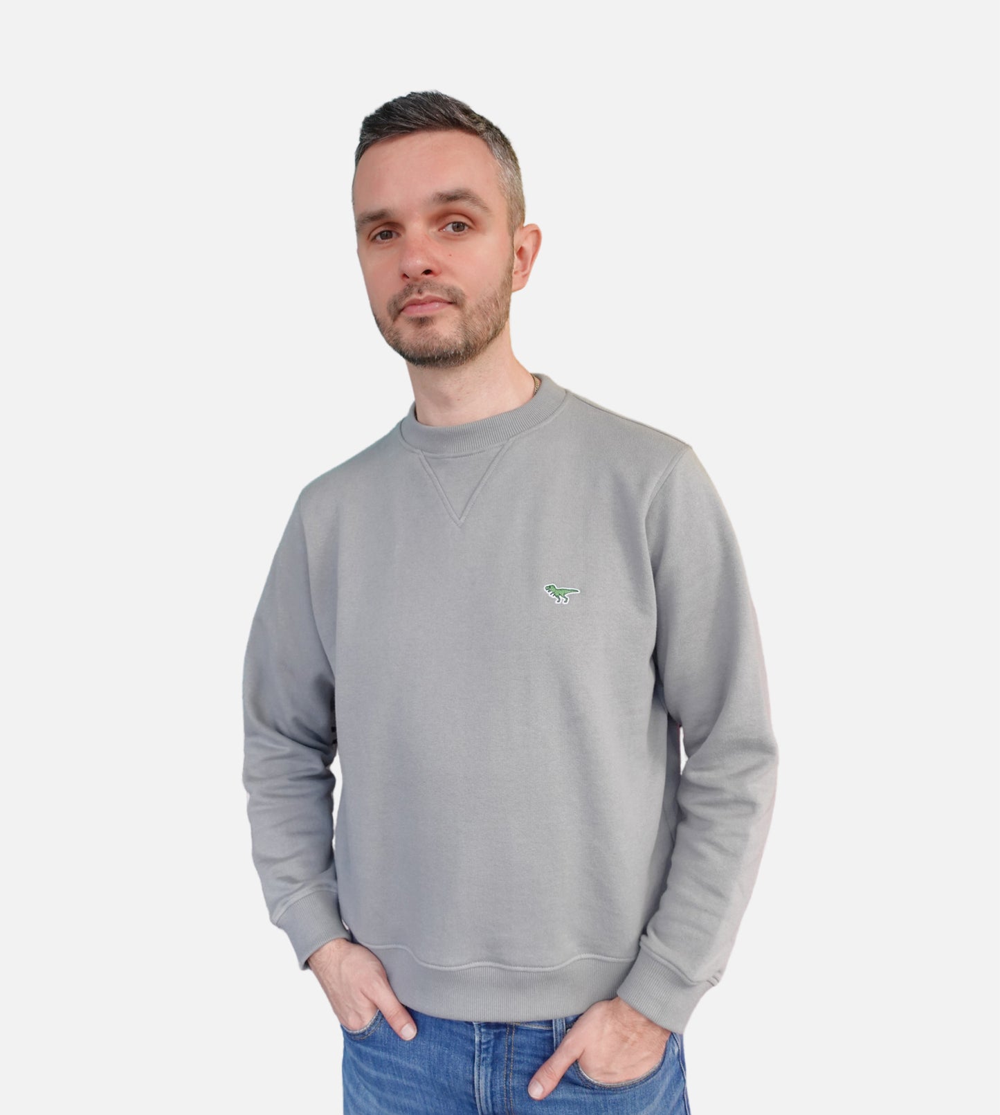 Sweatshirt T-Rex Gris - Homme