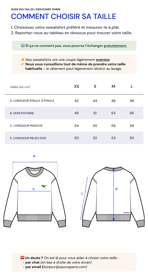Sweatshirt T-Rex Gris - Femme